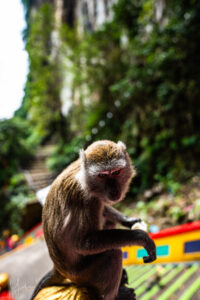 MALAYSIA