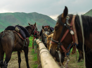 KYRGYZSTAN
